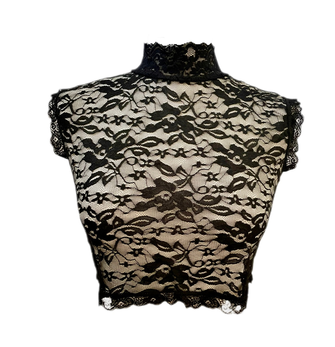 High Neck Black Floral Lace Cropped Top Blouse Faux Collar